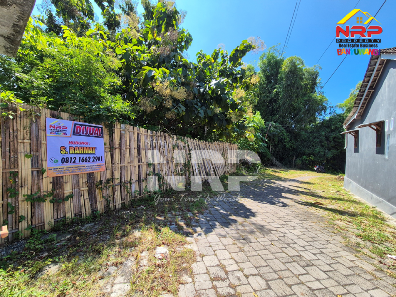 Dijual Tanah Kering Murah di Klatak - Banyuwangi  Dijual Tanah Kering Murah di Klatak - Banyuwangi  Dijual Tanah Kering Murah di Klatak - Banyuwangi&nbsp;
Berada dikawasan Perumahan, Dekat dengan SPBU Klatak.&nbsp;

Luas Tanah 1.375 NRP BANYUWANGI