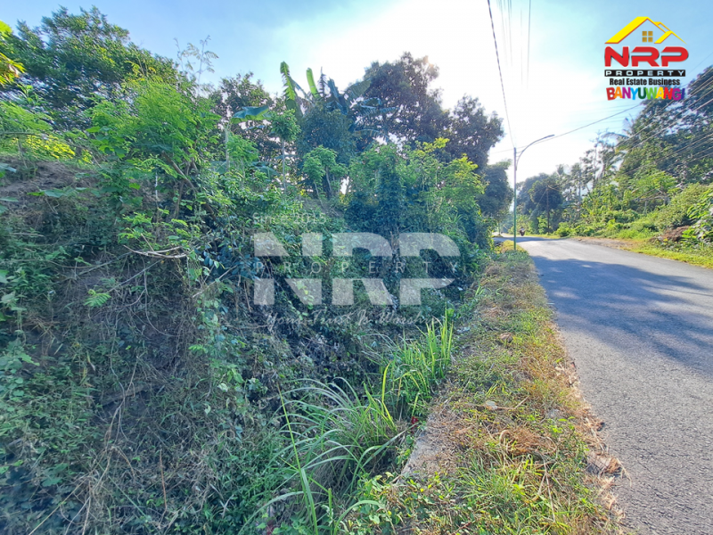 Dijual Tanah Kering murah di tepi Jl. Kelir, Kalipuro - Banyuwangi Dijual Tanah Kering murah di tepi Jl. Kelir, Kalipuro - Banyuwangi Dijual Tanah Kering murah di tepi Jl. Kelir, Kalipuro - Banyuwangi
600 meter dari Jl. Argopuro. Cocok untuk gudang distributor, kebun dll.&nbsp;

Luas Tanah NRP BANYUWANGI