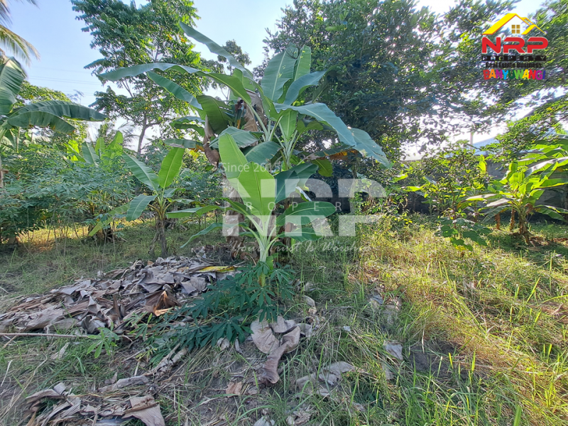 Dijual Tanah Kering murah di tepi Jl. Kelir, Kalipuro - Banyuwangi Dijual Tanah Kering murah di tepi Jl. Kelir, Kalipuro - Banyuwangi Dijual Tanah Kering murah di tepi Jl. Kelir, Kalipuro - Banyuwangi
600 meter dari Jl. Argopuro. Cocok untuk gudang distributor, kebun dll.&nbsp;

Luas Tanah NRP BANYUWANGI