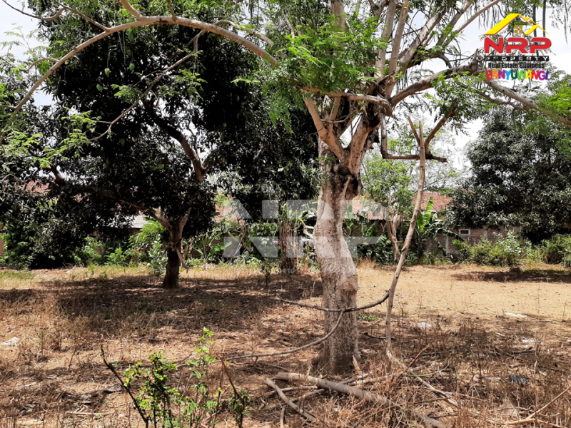 Dijual Tanah Kering Sangat Murah 300 Meter dari Jl. Provinsi Gatot Subroto, Bulusan  Dijual Tanah Kering Sangat Murah 300 Meter dari Jl. Provinsi Gatot Subroto, Bulusan  Dijual Tanah Kering Sangat Murah 300 Meter dari Jl. Provinsi Gatot Subroto, Bulusan&nbsp;
di Depan Pabrik Bowosa Banyuwangi. Cocok untuk hunian maupun NRP BANYUWANGI