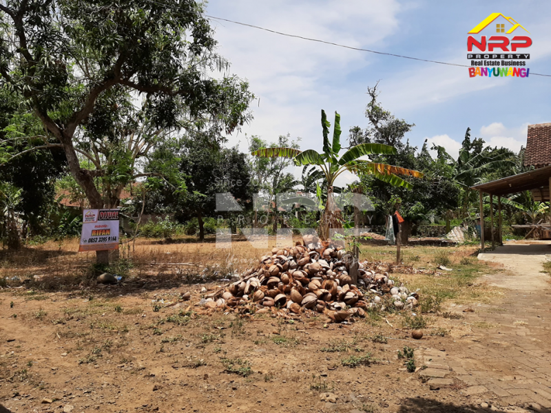 Dijual Tanah Kering Sangat Murah 300 Meter dari Jl. Provinsi Gatot Subroto, Bulusan  Dijual Tanah Kering Sangat Murah 300 Meter dari Jl. Provinsi Gatot Subroto, Bulusan  Dijual Tanah Kering Sangat Murah 300 Meter dari Jl. Provinsi Gatot Subroto, Bulusan&nbsp;
di Depan Pabrik Bowosa Banyuwangi. Cocok untuk hunian maupun NRP BANYUWANGI