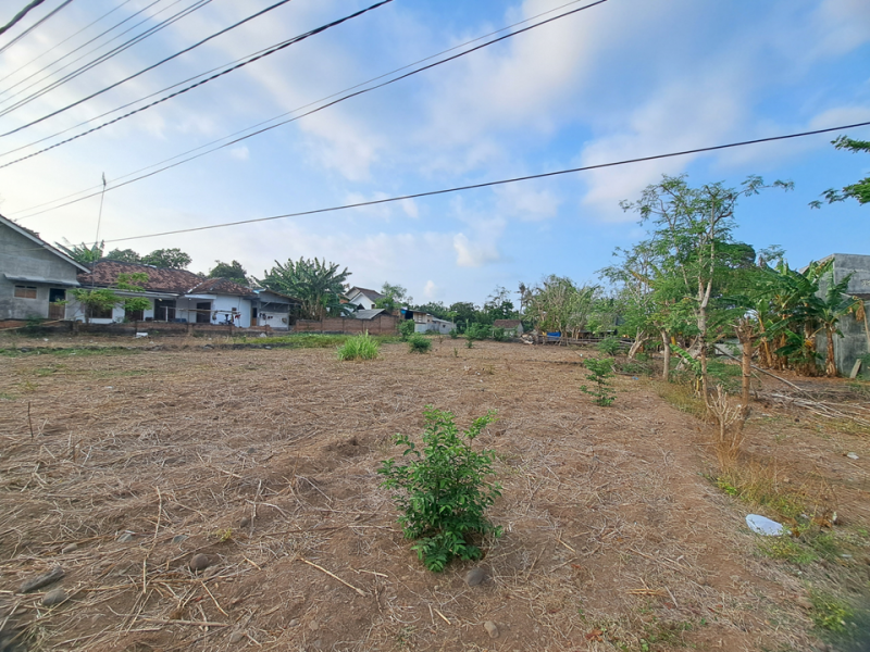 Dijual Tanah Kering Siap Bangun di Klatak - Kalipuro   Dijual Tanah Kering Siap Bangun di Klatak - Kalipuro   Dijual Tanah Kering Siap Bangun di Klatak - Kalipuro&nbsp;&nbsp;
Dekat dengan SMKN 1 Kalipuro, Kawasan perumahan padat penduduk
Cocok untuk cluster, kompleks NRP BANYUWANGI
