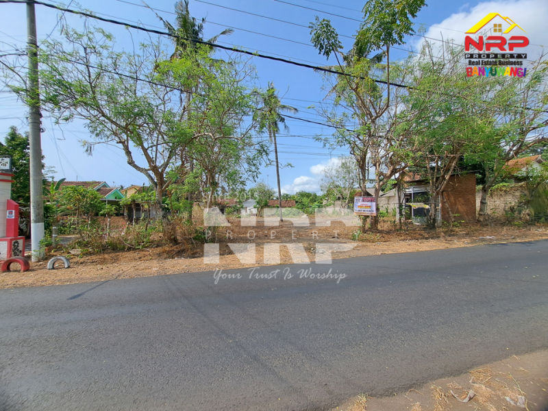 Dijual Tanah Kering Siap Bangun di Klatak - Kalipuro   Dijual Tanah Kering Siap Bangun di Klatak - Kalipuro   Dijual Tanah Kering Siap Bangun di Klatak - Kalipuro&nbsp;&nbsp;
Dekat dengan SMKN 1 Kalipuro, Kawasan perumahan padat penduduk
Cocok untuk cluster, kompleks NRP BANYUWANGI