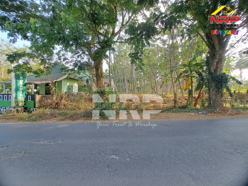 Dijual Tanah Kering Siap Bangun di Klatak - Kalipuro   Dijual Tanah Kering Siap Bangun di Klatak - Kalipuro   Dijual Tanah Kering Siap Bangun di Klatak - Kalipuro&nbsp;&nbsp;
Dekat dengan kantor koramil klatak, dekat dengan SMKN 1 Kalipuro&nbsp;
Dekat dengan resto NRP BANYUWANGI