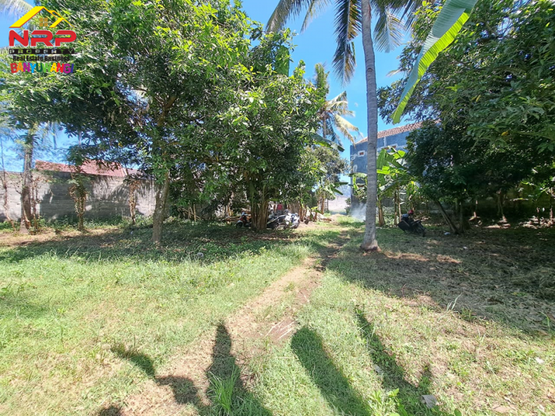 Dijual Tanah Kering Strategis 100 Meter dari Jl. Utama Raden Wijaya  Dijual Tanah Kering Strategis 100 Meter dari Jl. Utama Raden Wijaya  Dijual Tanah Kering Strategis 100 Meter dari Jl. Utama Raden Wijaya&nbsp;
Lokasi terletak diantara Perum. Graha Rizki Harmoni dan Djati Khayangan.
Cocok NRP BANYUWANGI