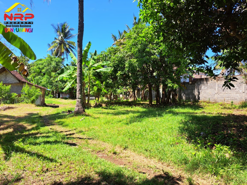 Dijual Tanah Kering Strategis 100 Meter dari Jl. Utama Raden Wijaya  Dijual Tanah Kering Strategis 100 Meter dari Jl. Utama Raden Wijaya  Dijual Tanah Kering Strategis 100 Meter dari Jl. Utama Raden Wijaya&nbsp;
Lokasi terletak diantara Perum. Graha Rizki Harmoni dan Djati Khayangan.
Cocok NRP BANYUWANGI