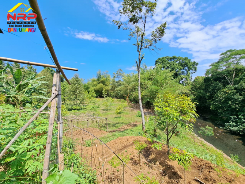 Dijual Tanah Kering Strategis di Ds. Watukebo, Blimbingsari - Bwi Dijual Tanah Kering Strategis di Ds. Watukebo, Blimbingsari - Bwi Dijual Tanah Kering Strategis di Ds. Watukebo, Blimbingsari - Bwi
Tepi Jalan Lintas Selatan Banyuwangi.&nbsp;
Sangat Cocok usaha, gudang, pabrik, atau NRP BANYUWANGI