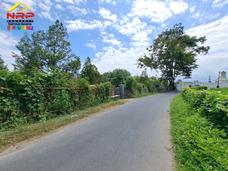 Dijual Tanah Kering Strategis di Ds. Watukebo, Blimbingsari - Bwi Dijual Tanah Kering Strategis di Ds. Watukebo, Blimbingsari - Bwi Dijual Tanah Kering Strategis di Ds. Watukebo, Blimbingsari - Bwi
Tepi Jalan Lintas Selatan Banyuwangi.&nbsp;
Sangat Cocok usaha, gudang, pabrik, atau NRP BANYUWANGI