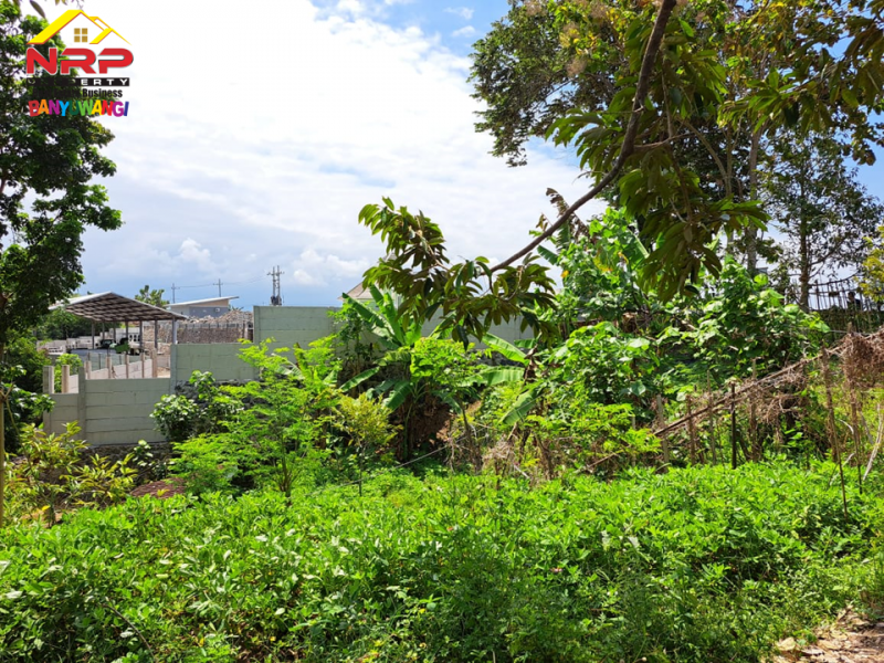 Dijual Tanah Kering Strategis di Ds. Watukebo, Blimbingsari - Bwi Dijual Tanah Kering Strategis di Ds. Watukebo, Blimbingsari - Bwi Dijual Tanah Kering Strategis di Ds. Watukebo, Blimbingsari - Bwi
Tepi Jalan Lintas Selatan Banyuwangi.&nbsp;
Sangat Cocok usaha, gudang, pabrik, atau NRP BANYUWANGI