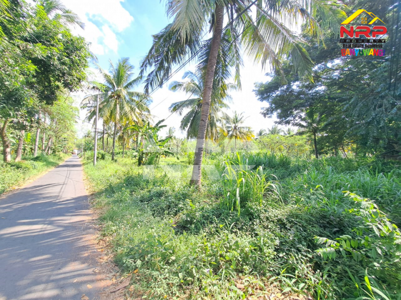 Dijual Tanah Kering Strategis di Tepi Jalan Gatot Subroto - Banyuwangi Dijual Tanah Kering Strategis di Tepi Jalan Gatot Subroto - Banyuwangi Dijual Tanah Kering Strategis di Tepi Jalan Gatot Subroto - Banyuwangi
Lokasi Sangat Strategis 0 Jalan Provinsi Banyuwangi - Situbondo
Depan PT WBS NRP BANYUWANGI