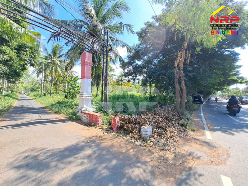 Dijual Tanah Kering Strategis di Tepi Jalan Gatot Subroto - Banyuwangi Dijual Tanah Kering Strategis di Tepi Jalan Gatot Subroto - Banyuwangi Dijual Tanah Kering Strategis di Tepi Jalan Gatot Subroto - Banyuwangi
Lokasi Sangat Strategis 0 Jalan Provinsi Banyuwangi - Situbondo
Depan PT WBS NRP BANYUWANGI