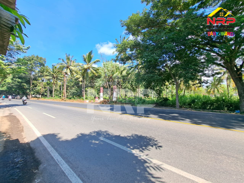 Dijual Tanah Kering Strategis di Tepi Jalan Gatot Subroto - Banyuwangi Dijual Tanah Kering Strategis di Tepi Jalan Gatot Subroto - Banyuwangi Dijual Tanah Kering Strategis di Tepi Jalan Gatot Subroto - Banyuwangi
Lokasi Sangat Strategis 0 Jalan Provinsi Banyuwangi - Situbondo
Depan PT WBS NRP BANYUWANGI