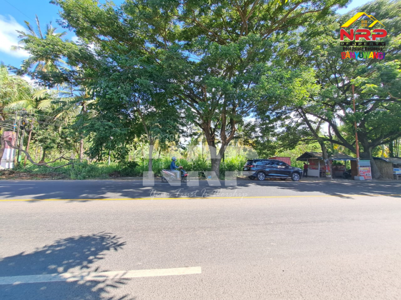 Dijual Tanah Kering Strategis di Tepi Jalan Gatot Subroto - Banyuwangi Dijual Tanah Kering Strategis di Tepi Jalan Gatot Subroto - Banyuwangi Dijual Tanah Kering Strategis di Tepi Jalan Gatot Subroto - Banyuwangi
Lokasi Sangat Strategis 0 Jalan Provinsi Banyuwangi - Situbondo
Depan PT WBS NRP BANYUWANGI