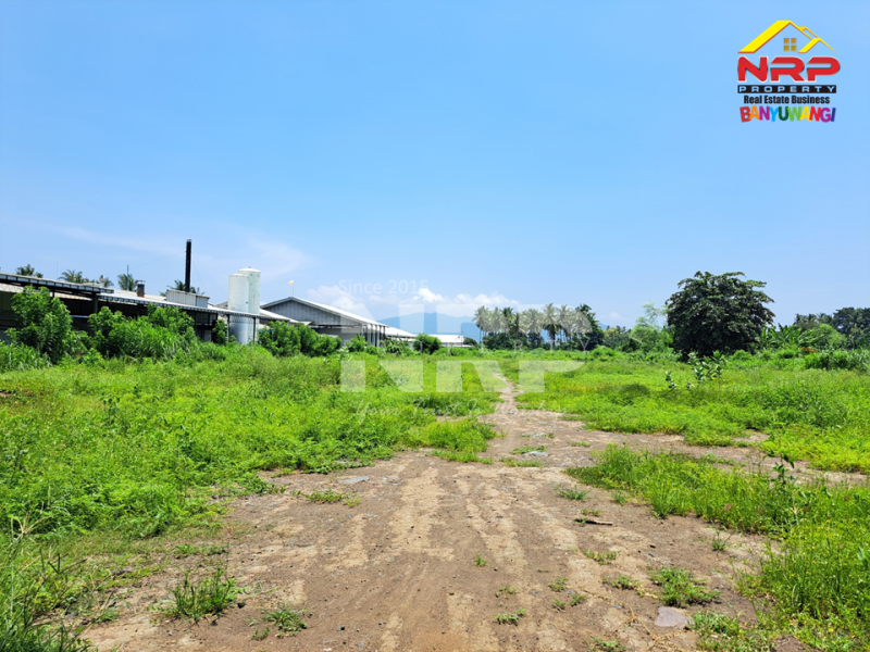 Dijual Tanah Kering Strategis di Tepi Jalan Gatot Subroto - Banyuwangi Dijual Tanah Kering Strategis di Tepi Jalan Gatot Subroto - Banyuwangi Dijual Tanah Kering Strategis di Tepi Jalan Gatot Subroto - Banyuwangi
Lokasi Sangat Strategis 0 Jalan Provinsi Banyuwangi - Situbondo
Sebelah PT WBS NRP BANYUWANGI