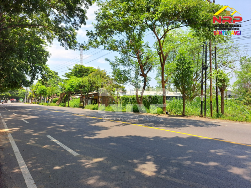 Dijual Tanah Kering Strategis di Tepi Jalan Gatot Subroto - Banyuwangi Dijual Tanah Kering Strategis di Tepi Jalan Gatot Subroto - Banyuwangi Dijual Tanah Kering Strategis di Tepi Jalan Gatot Subroto - Banyuwangi
Lokasi Sangat Strategis 0 Jalan Provinsi Banyuwangi - Situbondo
Sebelah PT WBS NRP BANYUWANGI