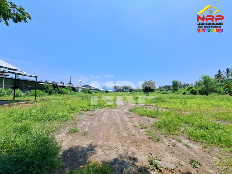 Dijual Tanah Kering Strategis di Tepi Jalan Gatot Subroto - Banyuwangi Dijual Tanah Kering Strategis di Tepi Jalan Gatot Subroto - Banyuwangi Dijual Tanah Kering Strategis di Tepi Jalan Gatot Subroto - Banyuwangi
Lokasi Sangat Strategis 0 Jalan Provinsi Banyuwangi - Situbondo
Sebelah PT WBS NRP BANYUWANGI
