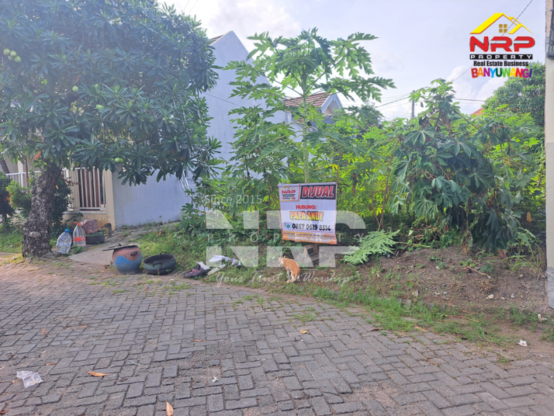DIJUAL TANAH KOSONG DI TAMANBARU - BANYUWANGI  DIJUAL TANAH KOSONG DI TAMANBARU - BANYUWANGI  DIJUAL TANAH KOSONG DI TAMANBARU - BANYUWANGI&nbsp;
Terletak di Kawasan Perumahan dengan keamanan. Cocok untuk hunian pribadi maupun rumah kos atau NRP BANYUWANGI
