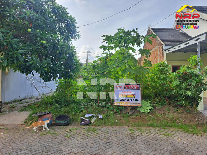 DIJUAL TANAH KOSONG DI TAMANBARU - BANYUWANGI  DIJUAL TANAH KOSONG DI TAMANBARU - BANYUWANGI  DIJUAL TANAH KOSONG DI TAMANBARU - BANYUWANGI&nbsp;
Terletak di Kawasan Perumahan dengan keamanan. Cocok untuk hunian pribadi maupun rumah kos atau NRP BANYUWANGI