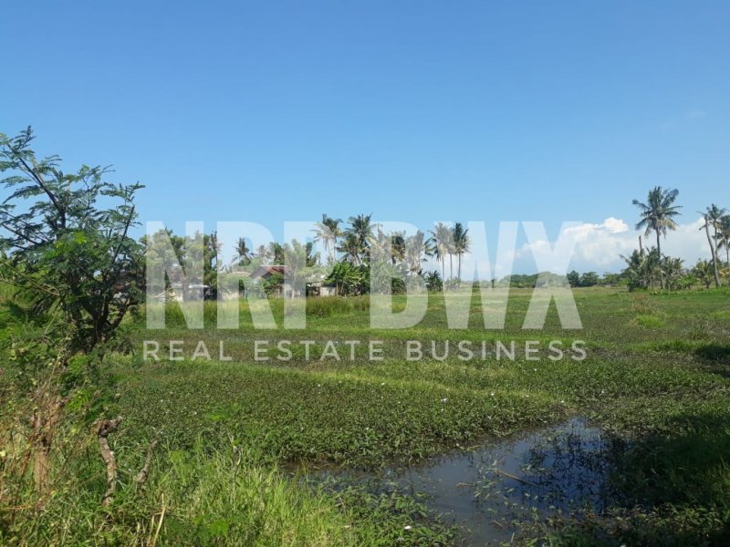 Dijual Tanah Luas 4,9 Ha SHM di Tepi Pantai Sobo -Banyuwangi Dijual Tanah Luas 4,9 Ha SHM di Tepi Pantai Sobo -Banyuwangi Dijual Tanah Luas 4,9 Ha SHM di Tepi Pantai Sobo -Banyuwangi
Cocok Untuk Hotel, Villa Pribadi, Tambak, Pengenbangan Pariwisata dll

LT. 49.590 M2 SHM
Harga NRP BANYUWANGI
