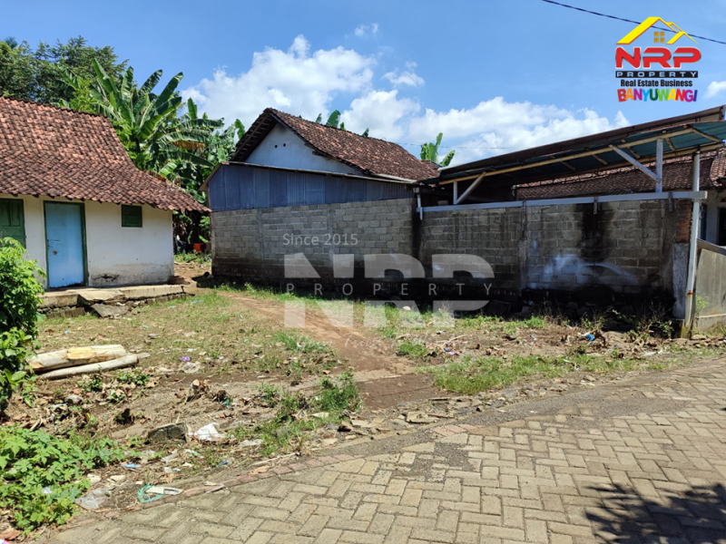 Dijual Tanah Luas bonus ada Bangunan Rumah di Watukebo - Banyuwangi  Jual tanah harga BU di watukebo banyuwangi  Dijual Tanah Luas bonus ada Bangunan Rumah di Watukebo - Banyuwangi&nbsp;
350 meter dari Jalan Lintas Selatan Banyuwangi.
Cocok untuk pembukaan kawasan NRP BANYUWANGI