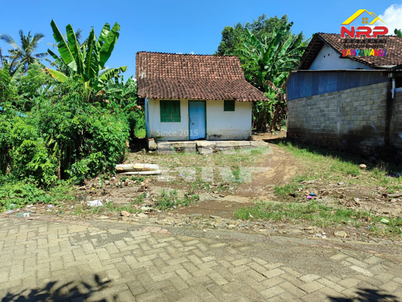Dijual Tanah Luas bonus ada Bangunan Rumah di Watukebo - Banyuwangi  Jual tanah harga BU di watukebo banyuwangi  Dijual Tanah Luas bonus ada Bangunan Rumah di Watukebo - Banyuwangi&nbsp;
350 meter dari Jalan Lintas Selatan Banyuwangi.
Cocok untuk pembukaan kawasan NRP BANYUWANGI