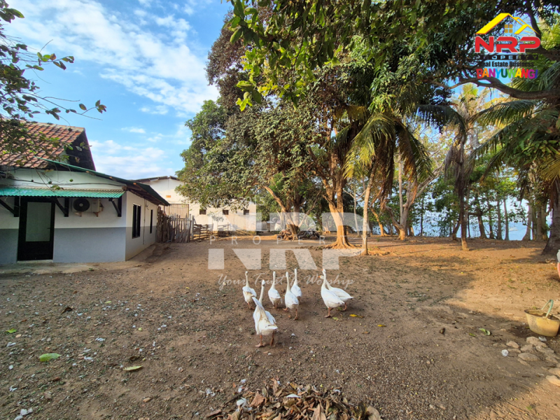 Dijual Tanah luas dengan akses langsung ke pantai, Menghadap Selat Bali  Dijual Tanah luas dengan akses langsung ke pantai, Menghadap Selat Bali  A Rare Opportunity in Banyuwangi.&nbsp;
Dijual Tanah luas dengan akses langsung ke pantai, Menghadap Selat Bali&nbsp;
Dengan panorama laut dan view pegununga NRP BANYUWANGI
