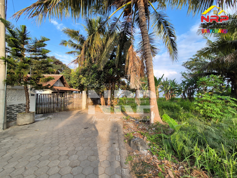Dijual Tanah luas dengan akses langsung ke pantai, Menghadap Selat Bali  Dijual Tanah luas dengan akses langsung ke pantai, Menghadap Selat Bali  A Rare Opportunity in Banyuwangi.&nbsp;
Dijual Tanah luas dengan akses langsung ke pantai, Menghadap Selat Bali&nbsp;
Dengan panorama laut dan view pegununga NRP BANYUWANGI