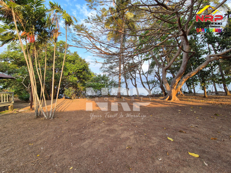 Dijual Tanah luas dengan akses langsung ke pantai, Menghadap Selat Bali  Dijual Tanah luas dengan akses langsung ke pantai, Menghadap Selat Bali  A Rare Opportunity in Banyuwangi.&nbsp;
Dijual Tanah luas dengan akses langsung ke pantai, Menghadap Selat Bali&nbsp;
Dengan panorama laut dan view pegununga NRP BANYUWANGI