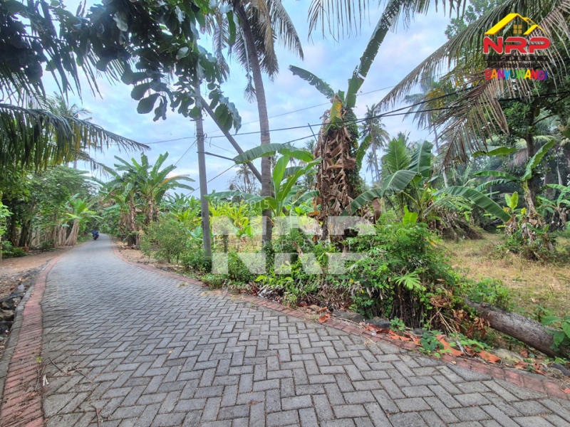 Dijual Tanah luas dengan akses langsung ke pantai, Menghadap Selat Bali  Dijual Tanah luas dengan akses langsung ke pantai, Menghadap Selat Bali  A Rare Opportunity in Banyuwangi.&nbsp;
Dijual Tanah luas dengan akses langsung ke pantai, Menghadap Selat Bali&nbsp;
Dengan panorama laut dan view pegununga NRP BANYUWANGI