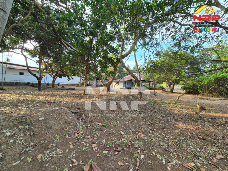Dijual Tanah luas dengan akses langsung ke pantai, Menghadap Selat Bali  Dijual Tanah luas dengan akses langsung ke pantai, Menghadap Selat Bali  A Rare Opportunity in Banyuwangi.&nbsp;
Dijual Tanah luas dengan akses langsung ke pantai, Menghadap Selat Bali&nbsp;
Dengan panorama laut dan view pegununga NRP BANYUWANGI