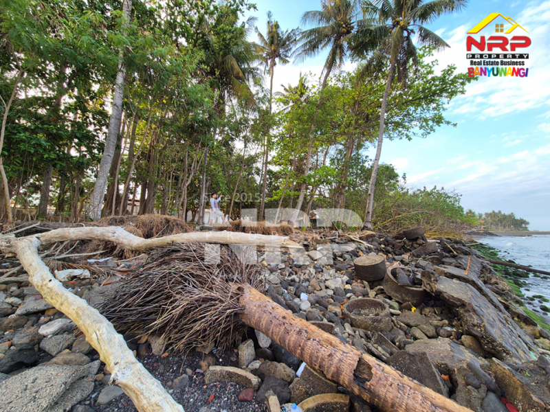 Dijual Tanah luas dengan akses langsung ke pantai, Menghadap Selat Bali  Dijual Tanah luas dengan akses langsung ke pantai, Menghadap Selat Bali  A Rare Opportunity in Banyuwangi.&nbsp;
Dijual Tanah luas dengan akses langsung ke pantai, Menghadap Selat Bali&nbsp;
Dengan panorama laut dan view pegununga NRP BANYUWANGI