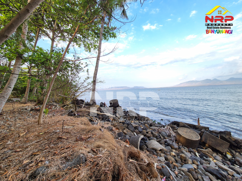 Dijual Tanah luas dengan akses langsung ke pantai, Menghadap Selat Bali  Dijual Tanah luas dengan akses langsung ke pantai, Menghadap Selat Bali  A Rare Opportunity in Banyuwangi.&nbsp;
Dijual Tanah luas dengan akses langsung ke pantai, Menghadap Selat Bali&nbsp;
Dengan panorama laut dan view pegununga NRP BANYUWANGI