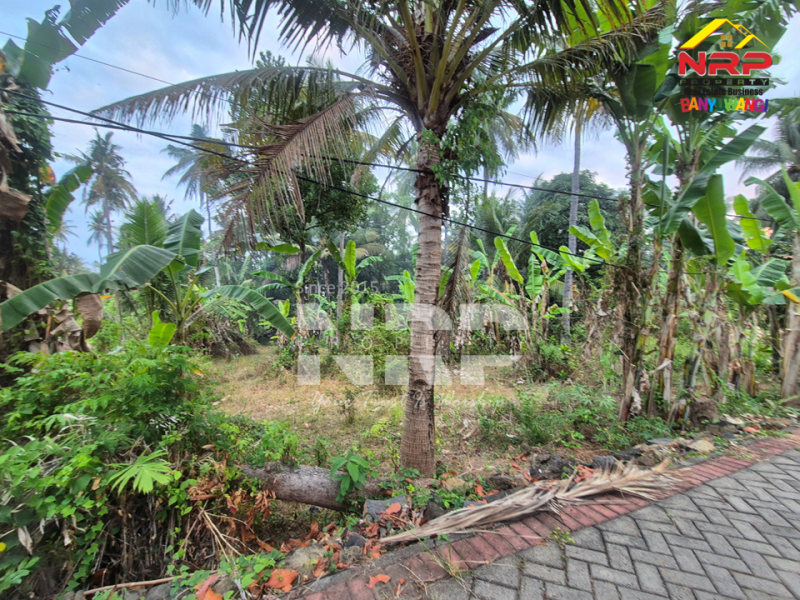 Dijual Tanah luas dengan akses langsung ke pantai, Menghadap Selat Bali  Dijual Tanah luas dengan akses langsung ke pantai, Menghadap Selat Bali  A Rare Opportunity in Banyuwangi.&nbsp;
Dijual Tanah luas dengan akses langsung ke pantai, Menghadap Selat Bali&nbsp;
Dengan panorama laut dan view pegununga NRP BANYUWANGI