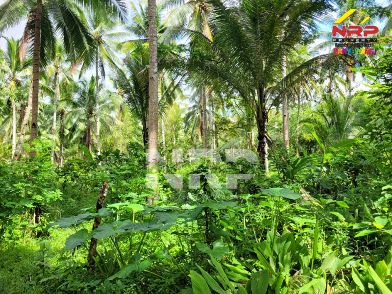Dijual Tanah Luas di Desa Gombengsari - Banyuwangi  Dijual Tanah Luas di Desa Gombengsari - Banyuwangi  Dijual Tanah Luas di Desa Gombengsari - Banyuwangi&nbsp;
Cocok untuk investasi perkebunan, perternakan atau Gudang

Luas Tanah : 7.460 NRP BANYUWANGI