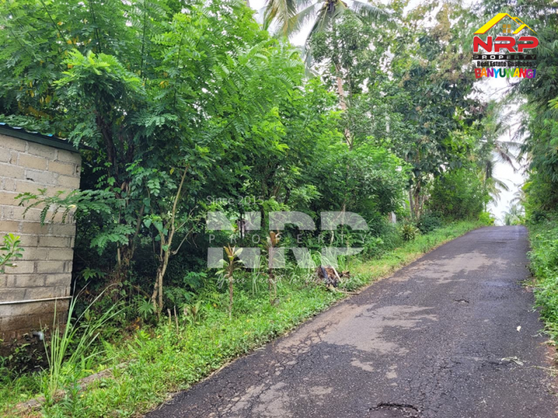 Dijual Tanah Luas di Desa Gombengsari - Banyuwangi  Dijual Tanah Luas di Desa Gombengsari - Banyuwangi  Dijual Tanah Luas di Desa Gombengsari - Banyuwangi&nbsp;
Cocok untuk investasi perkebunan, perternakan atau Gudang

Luas Tanah : 7.460 NRP BANYUWANGI