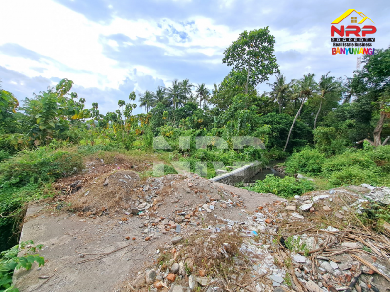 Dijual Tanah Luas di Jl. Trenggono, Kebalenan - Banyuwangi  Dijual Tanah Luas di Jl. Trenggono, Kebalenan - Banyuwangi  Dijual Tanah Luas di Jl. Trenggono, Kebalenan - Banyuwangi&nbsp;
Tanah berada dikawasan Perumahan, Berada di Depan Vila Ijen Estate.&nbsp;

Luas Tanah : NRP BANYUWANGI