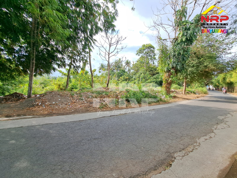 Dijual Tanah Luas di Jl. Trenggono, Kebalenan - Banyuwangi  Dijual Tanah Luas di Jl. Trenggono, Kebalenan - Banyuwangi  Dijual Tanah Luas di Jl. Trenggono, Kebalenan - Banyuwangi&nbsp;
Tanah berada dikawasan Perumahan, Berada di Depan Vila Ijen Estate.&nbsp;

Luas Tanah : NRP BANYUWANGI