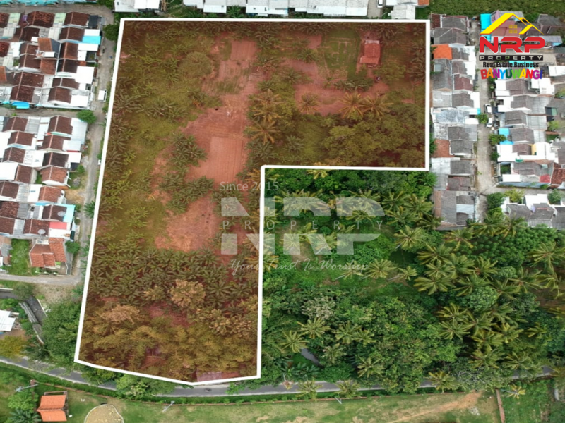 Dijual Tanah Luas di Jl. Trenggono, Kebalenan - Banyuwangi  Dijual Tanah Luas di Jl. Trenggono, Kebalenan - Banyuwangi  Dijual Tanah Luas di Jl. Trenggono, Kebalenan - Banyuwangi&nbsp;
Tanah berada dikawasan Perumahan, Berada di Depan Vila Ijen Estate.&nbsp;

Luas Tanah : NRP BANYUWANGI