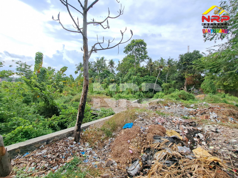 Dijual Tanah Luas di Jl. Trenggono, Kebalenan - Banyuwangi  Dijual Tanah Luas di Jl. Trenggono, Kebalenan - Banyuwangi  Dijual Tanah Luas di Jl. Trenggono, Kebalenan - Banyuwangi&nbsp;
Tanah berada dikawasan Perumahan, Berada di Depan Vila Ijen Estate.&nbsp;

Luas Tanah : NRP BANYUWANGI