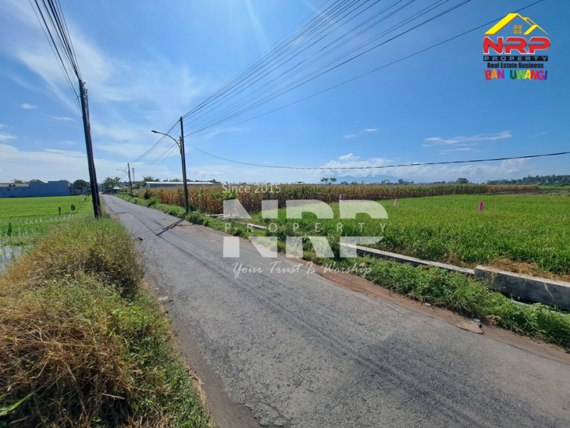 Dijual Tanah Luas di Kawasan Perumahan di Tepi Jl. Sobo - Banyuwangi Jual tanah luas di kota banyuwangi  Dijual Tanah Luas di Kawasan Perumahan di Tepi Jl. Sobo - Banyuwangi
Sangat Cocok untuk&nbsp; Gudang atau pembukaan kawasan perumahan baru.&nbsp;

Luas NRP BANYUWANGI