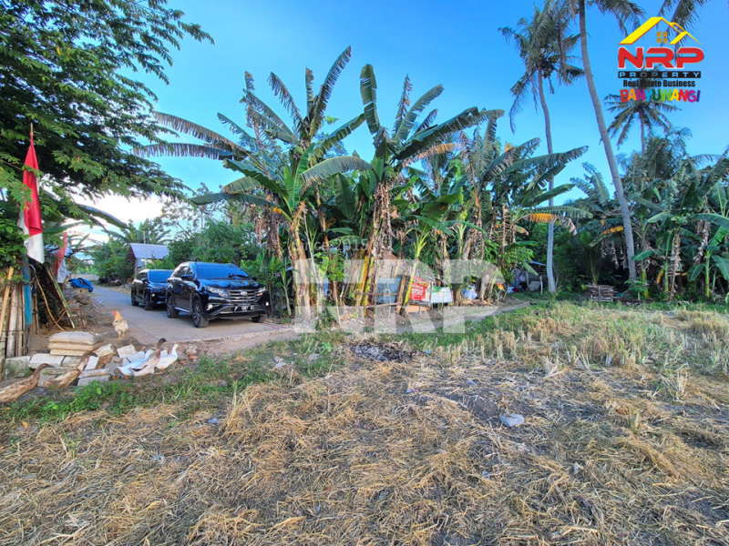 Dijual Tanah Luas di Kawasan Perumahan Sobo - Banyuwangi Dijual Tanah Luas di Kawasan Perumahan Sobo - Banyuwangi Dijual Tanah Luas di Kawasan Perumahan Sobo - Banyuwangi
Sangat Cocok untuk pembukaan kawasan perumahan baru.&nbsp;

Luas Tanah : 5.560 M2&nbsp;
2 NRP BANYUWANGI