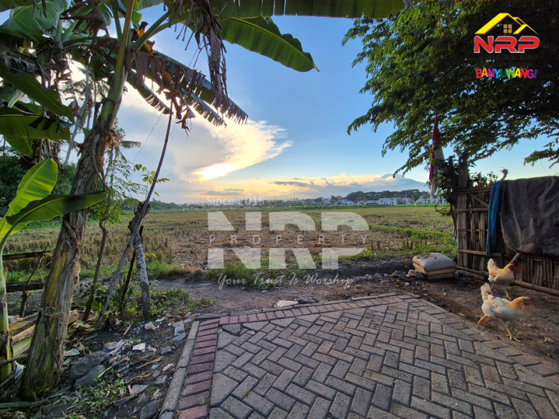 Dijual Tanah Luas di Kawasan Perumahan Sobo - Banyuwangi Dijual Tanah Luas di Kawasan Perumahan Sobo - Banyuwangi Dijual Tanah Luas di Kawasan Perumahan Sobo - Banyuwangi
Sangat Cocok untuk pembukaan kawasan perumahan baru.&nbsp;

Luas Tanah : 5.560 M2&nbsp;
2 NRP BANYUWANGI