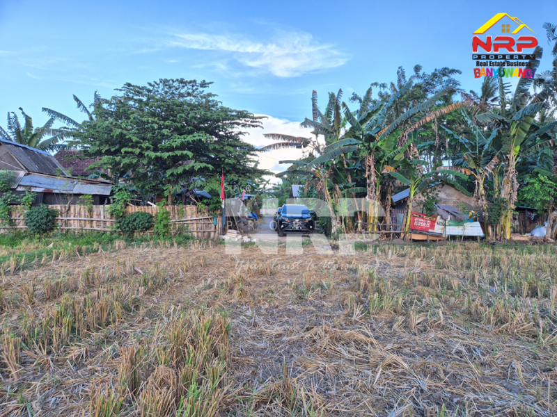 Dijual Tanah Luas di Kawasan Perumahan Sobo - Banyuwangi Dijual Tanah Luas di Kawasan Perumahan Sobo - Banyuwangi Dijual Tanah Luas di Kawasan Perumahan Sobo - Banyuwangi
Sangat Cocok untuk pembukaan kawasan perumahan baru.&nbsp;

Luas Tanah : 5.560 M2&nbsp;
2 NRP BANYUWANGI