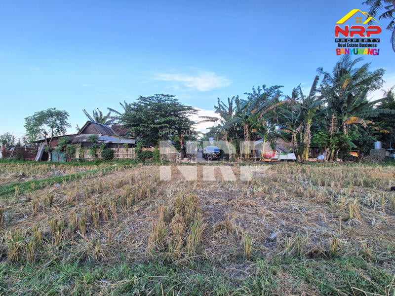 Dijual Tanah Luas di Kawasan Perumahan Sobo - Banyuwangi Dijual Tanah Luas di Kawasan Perumahan Sobo - Banyuwangi Dijual Tanah Luas di Kawasan Perumahan Sobo - Banyuwangi
Sangat Cocok untuk pembukaan kawasan perumahan baru.&nbsp;

Luas Tanah : 5.560 M2&nbsp;
2 NRP BANYUWANGI