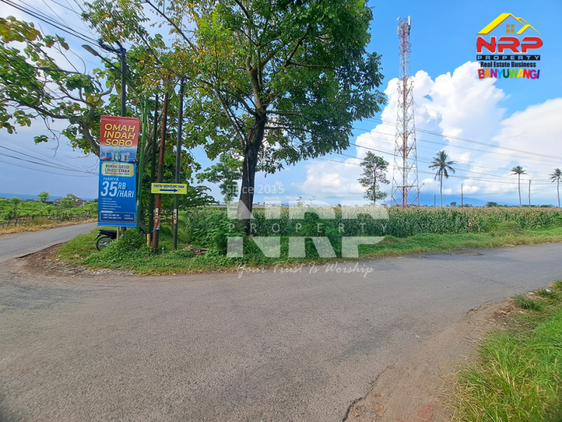 Dijual Tanah Luas di Kawasan Perumahan Tepi Jl. Sobo - Banyuwangi Dijual Tanah Luas di Kawasan Perumahan Tepi Jl. Sobo - Banyuwangi Dijual Tanah Luas di Kawasan Perumahan Tepi Jl. Sobo - Banyuwangi
Sangat Cocok untuk&nbsp; Gudang atau pembukaan kawasan perumahan baru.&nbsp;

Luas Tanah : NRP BANYUWANGI