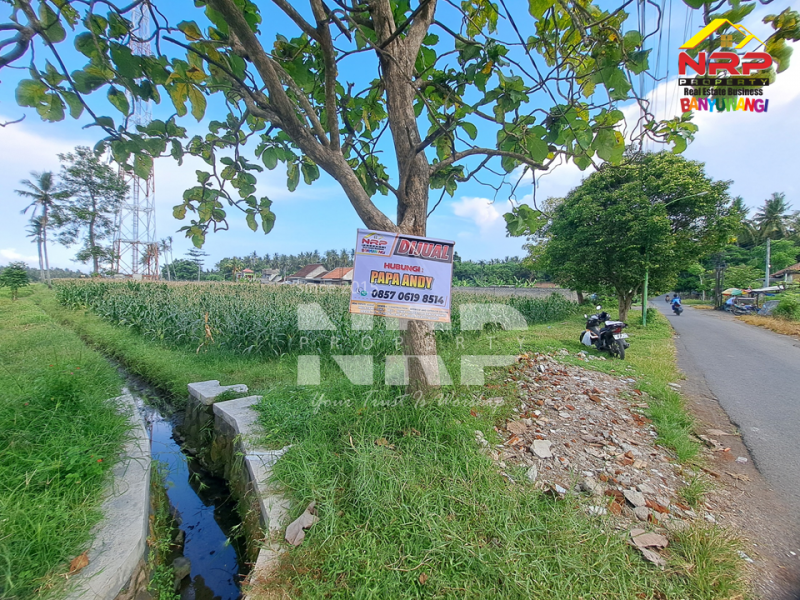 Dijual Tanah Luas di Kawasan Perumahan Tepi Jl. Sobo - Banyuwangi Dijual Tanah Luas di Kawasan Perumahan Tepi Jl. Sobo - Banyuwangi Dijual Tanah Luas di Kawasan Perumahan Tepi Jl. Sobo - Banyuwangi
Sangat Cocok untuk&nbsp; Gudang atau pembukaan kawasan perumahan baru.&nbsp;

Luas Tanah : NRP BANYUWANGI