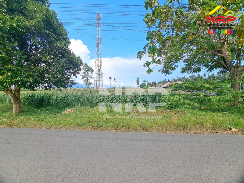 Dijual Tanah Luas di Kawasan Perumahan Tepi Jl. Sobo - Banyuwangi Dijual Tanah Luas di Kawasan Perumahan Tepi Jl. Sobo - Banyuwangi Dijual Tanah Luas di Kawasan Perumahan Tepi Jl. Sobo - Banyuwangi
Sangat Cocok untuk&nbsp; Gudang atau pembukaan kawasan perumahan baru.&nbsp;

Luas Tanah : NRP BANYUWANGI
