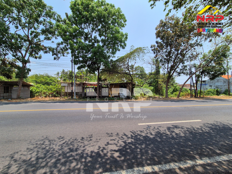 Dijual Tanah Luas di Rogojampi - Banyuwangi  Dijual Tanah Luas di Rogojampi - Banyuwangi  Dijual Tanah Luas di Rogojampi - Banyuwangi&nbsp;
Dekat Kawasan Bisnis dan Pertokoan Pasar Rogojampi
Dekat dengan Poltek Banyuwangi&nbsp;
Sangat cocok untuk NRP BANYUWANGI