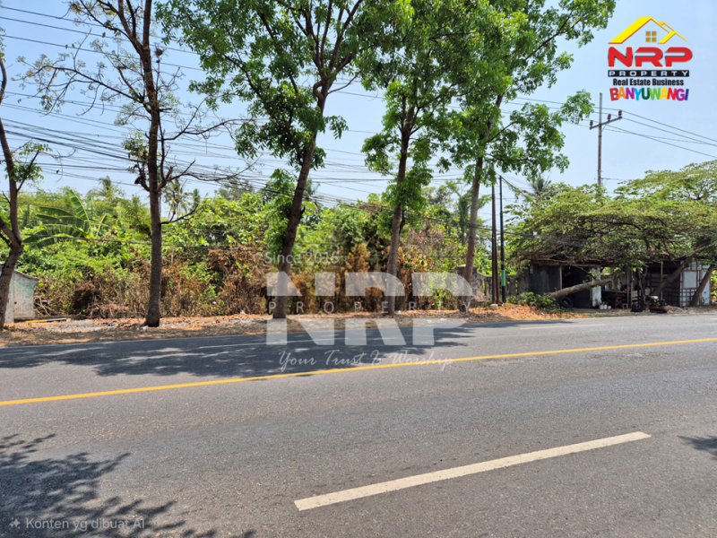 Dijual Tanah Luas di Rogojampi - Banyuwangi  Dijual Tanah Luas di Rogojampi - Banyuwangi  Dijual Tanah Luas di Rogojampi - Banyuwangi&nbsp;
Dekat Kawasan Bisnis dan Pertokoan Pasar Rogojampi
Dekat dengan Poltek Banyuwangi&nbsp;
Sangat cocok untuk NRP BANYUWANGI