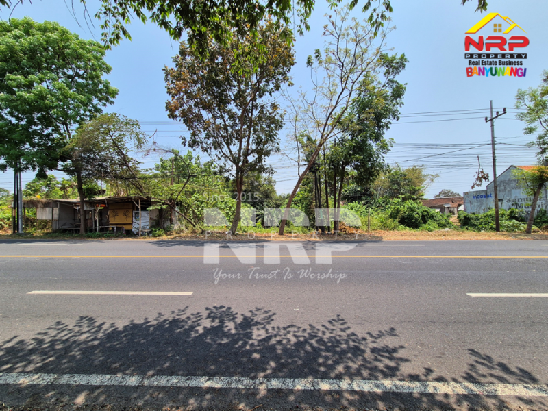 Dijual Tanah Luas di Rogojampi - Banyuwangi  Dijual Tanah Luas di Rogojampi - Banyuwangi  Dijual Tanah Luas di Rogojampi - Banyuwangi&nbsp;
Dekat Kawasan Bisnis dan Pertokoan Pasar Rogojampi
Dekat dengan Poltek Banyuwangi&nbsp;
Sangat cocok untuk NRP BANYUWANGI
